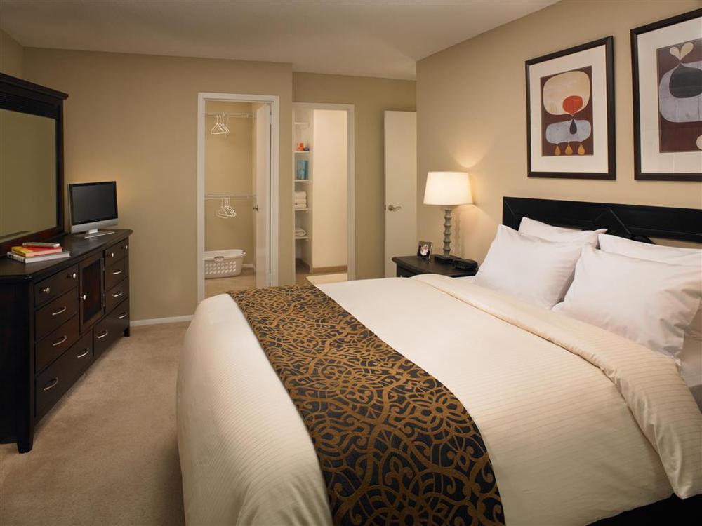 Mainsail Suites Hotel & Conference Center Tampa Værelse billede